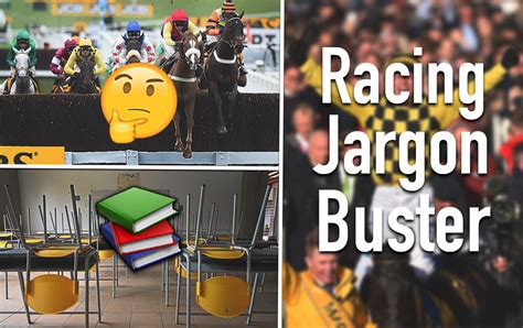 what does nb mean in horse racing|Horse Racing Terms and Jargon Buster .